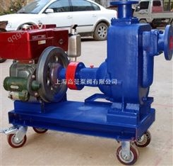 CJZWC型移动式自吸柴油机排污泵/柴油污水泵/自吸柴油机泵
