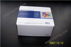 兔子γ干扰素（IFN-γ）ELISA 试剂盒